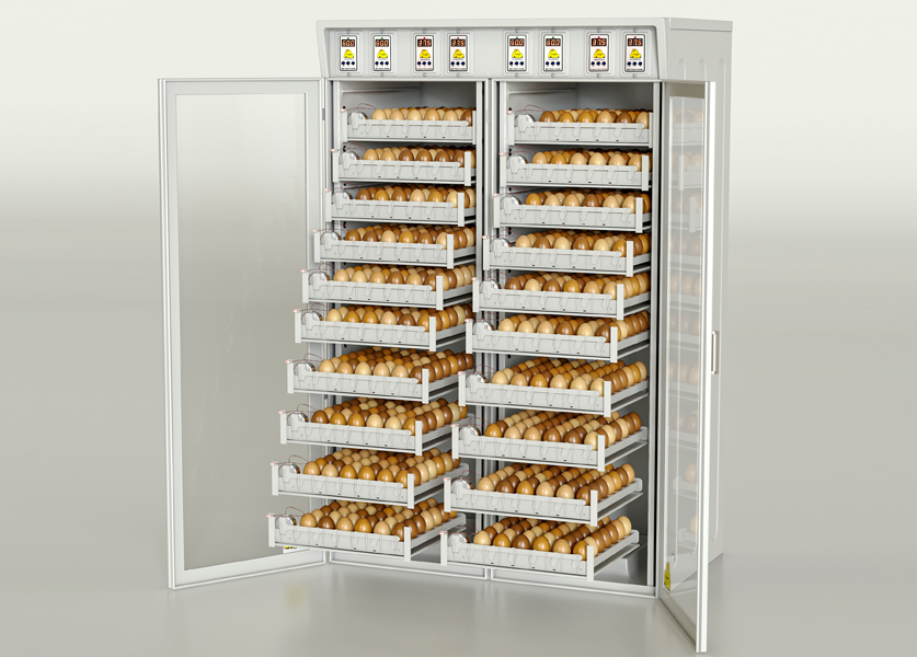 NC Incubateur automatique de poulets couveuse à œufs Machine à couver  Incubateur de poussins à domicile Contrôleur de ferme 36 œufs : :  Commerce, Industrie et Science
